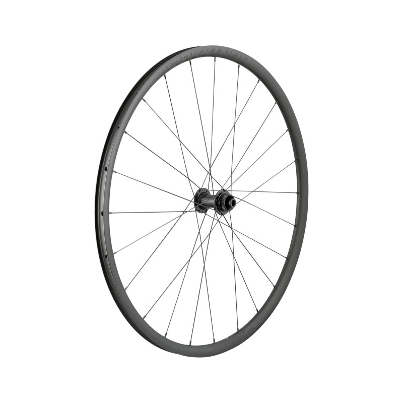 Koło (przód) BONTRAGER Bontrager Paradigm SL Centerlock Disc 24H Silver Nipples 700c Road Wheel