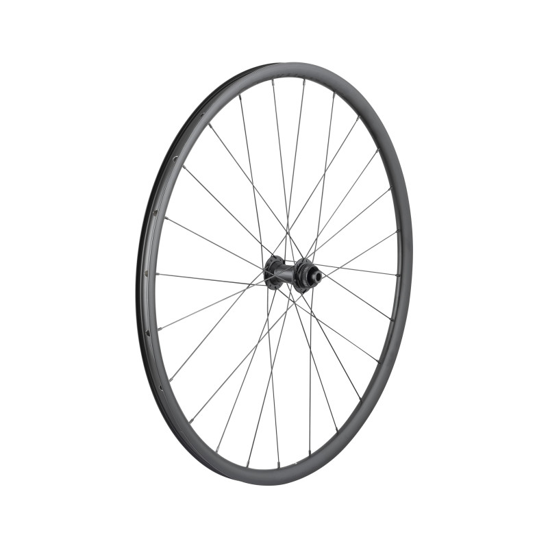 Koło (przód) BONTRAGER Bontrager Paradigm SL Centerlock Disc 24H Black Nipples 700c Road Wheel