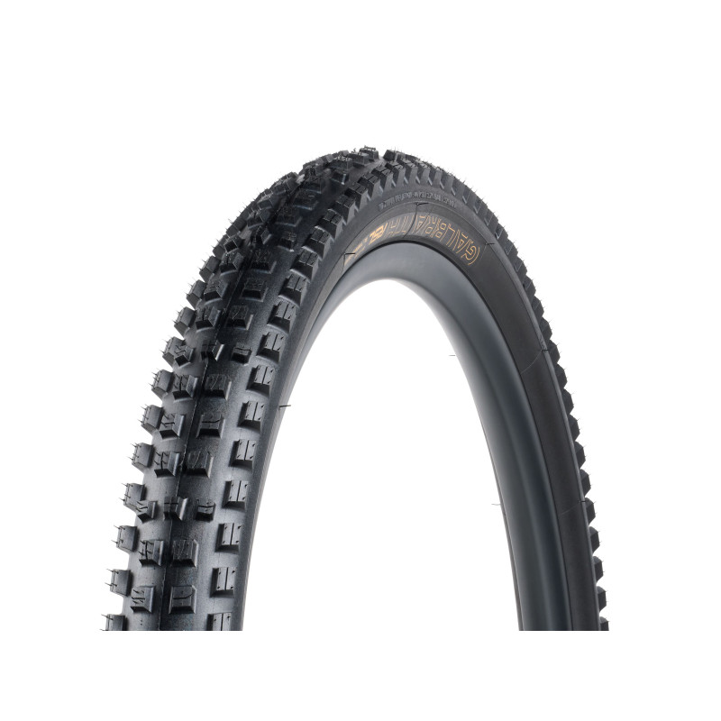 Opona BONTRAGER Opona MTB Bontrager Galbraith RSL SE TLR